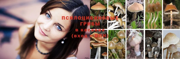 герыч Абдулино
