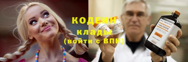 спиды Гатчина