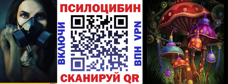 Псилоцибиновые грибы прущие грибы  Агрыз 